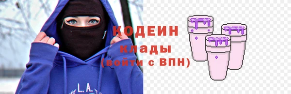 хмурый Алзамай