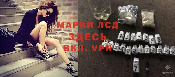 хмурый Алзамай